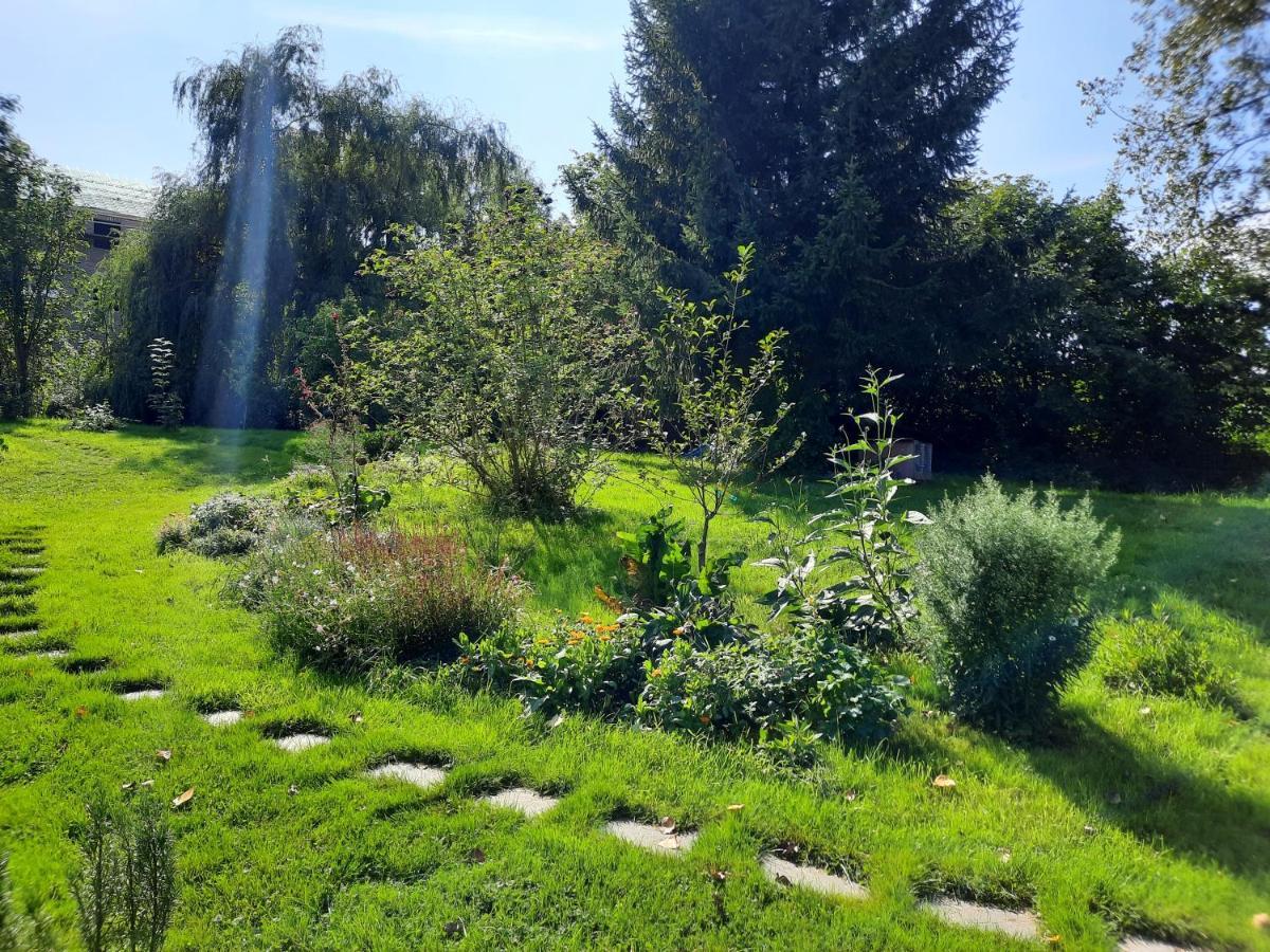 La Yourte Au Fonds Du Jardin Xhoris Eksteriør billede